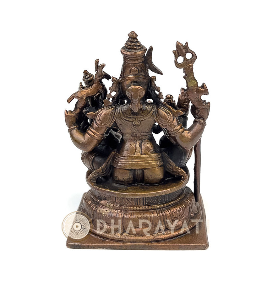 Copper Shiva family